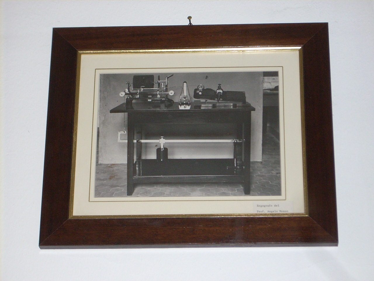 Angelo Mosso s ergograph, Accademia di Medicina, Turin, Italy - 04.JPG